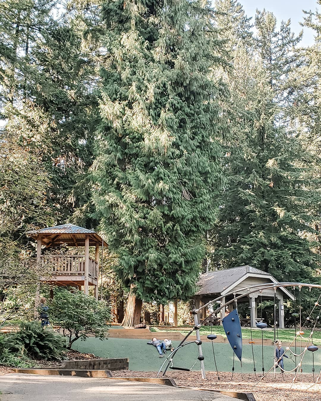 A playground and covered picnic area in a wooded park