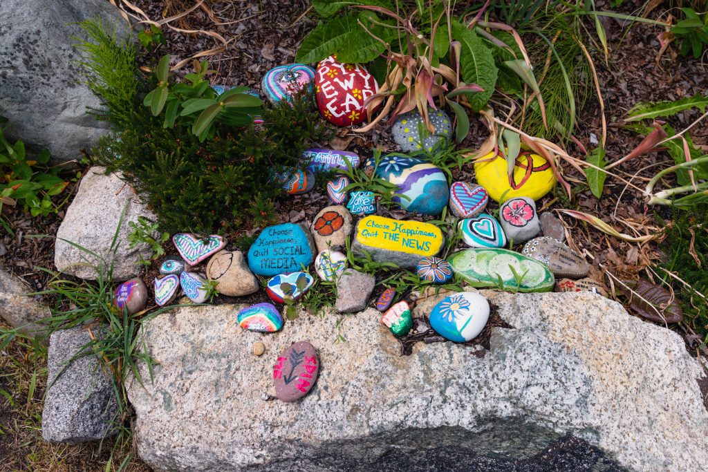 Painted rocks amongst plants and rocks.