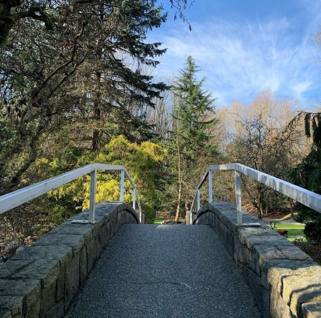 Sunny day with blue skies, trees to the left providing shade over a view of a concrete bridge